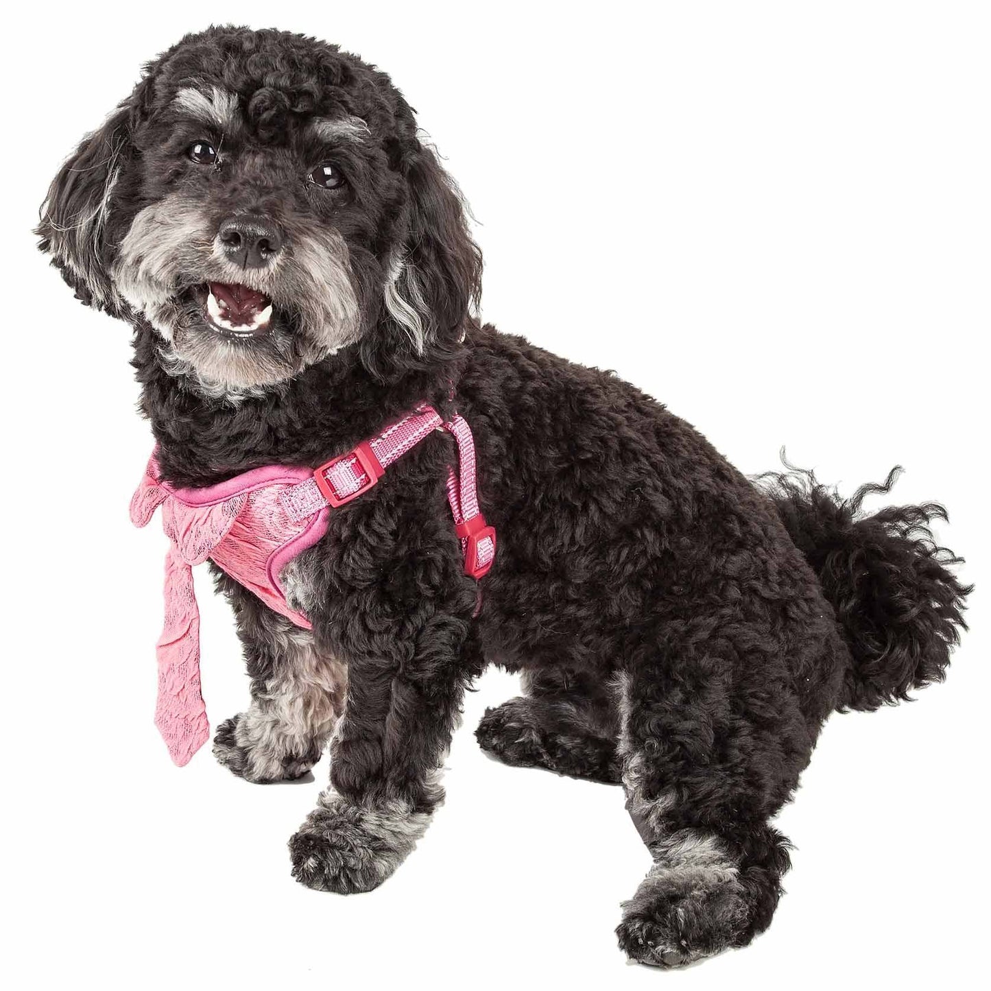 Mesh Reversible Dog Harness Straps