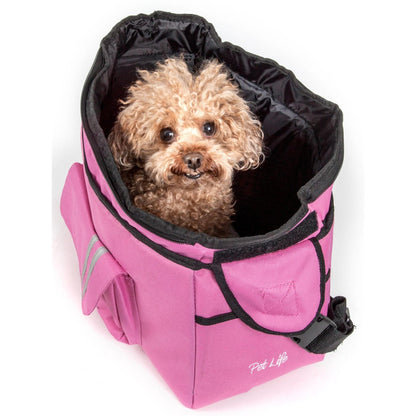 Fashionable pet carrier with back-support Transport