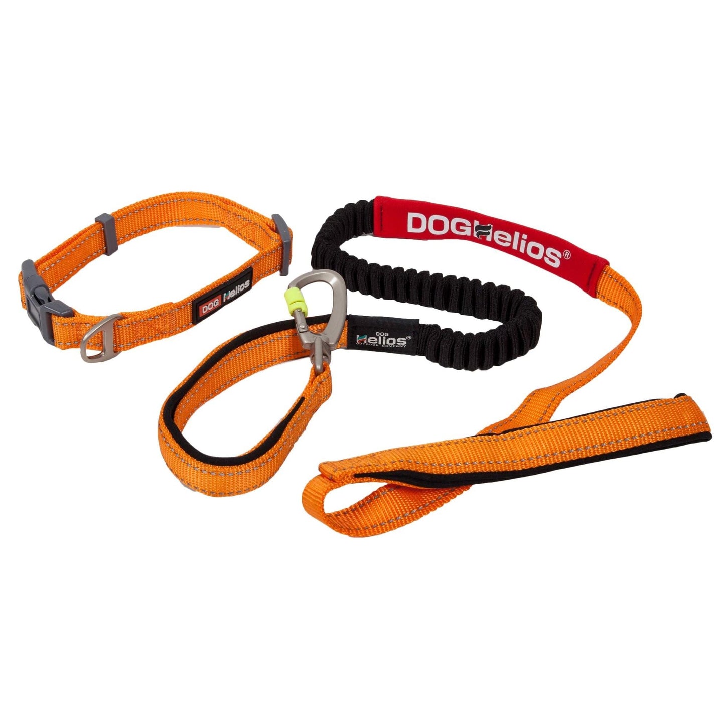 Indestructible dog leash and collar. Straps