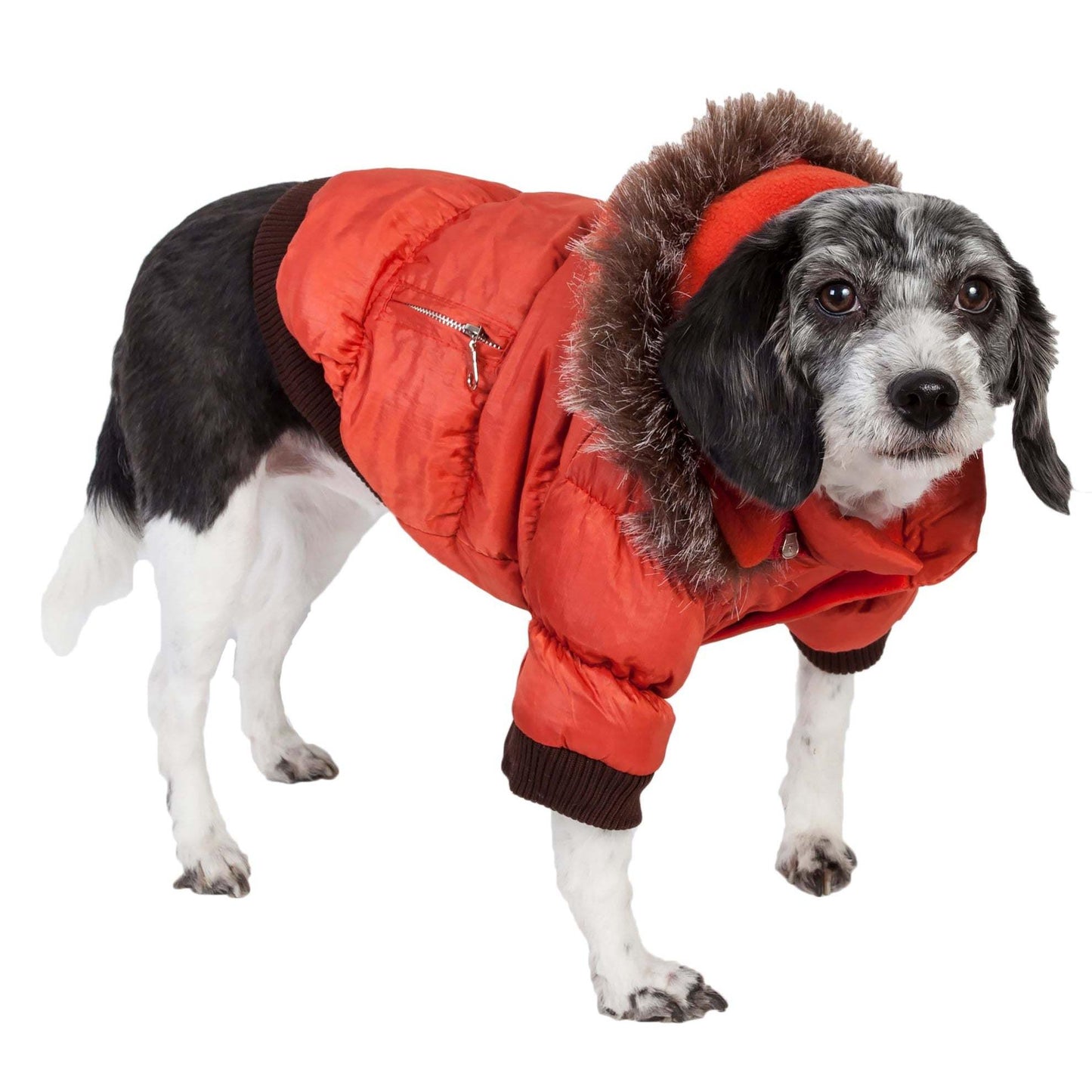 Metallic Pet Parka Coat with 3M Thinsulate and Removable Hood Fashion