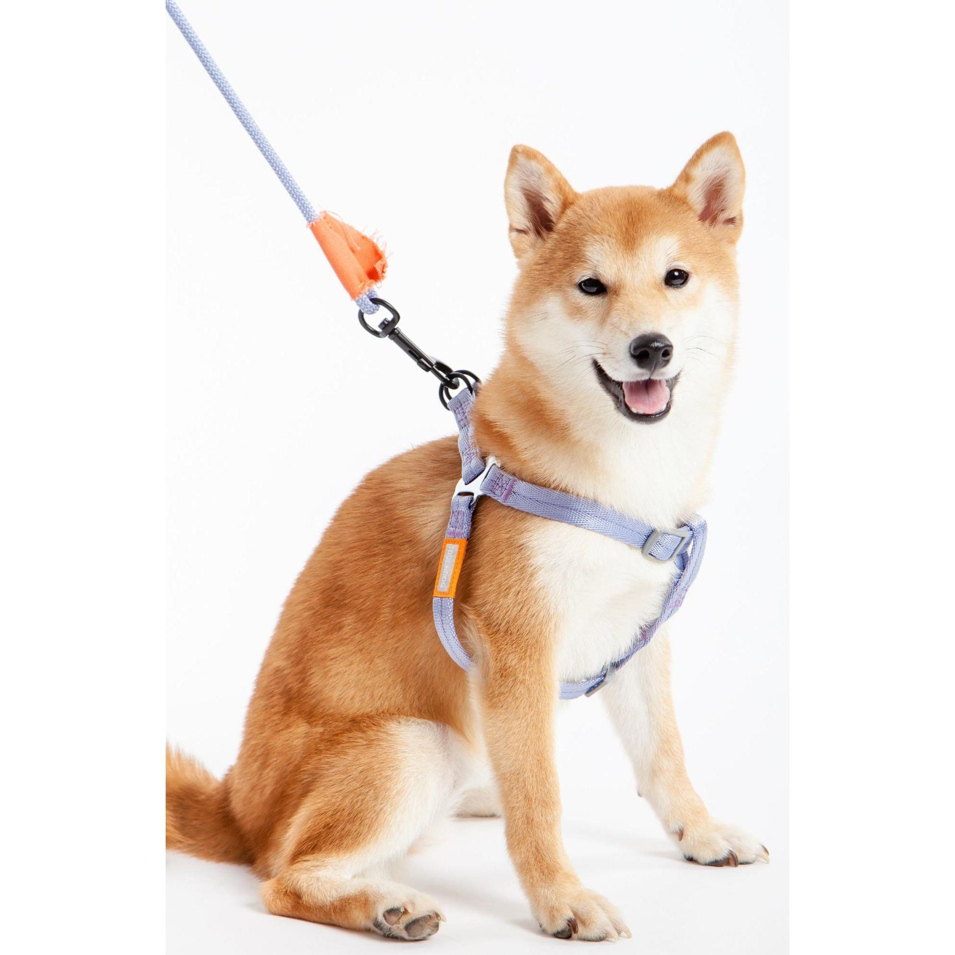 Touchdog 'Macaron' 2-in-1 Nylon Dog Harness and Leash with Comfortable Grip. - Wolldi