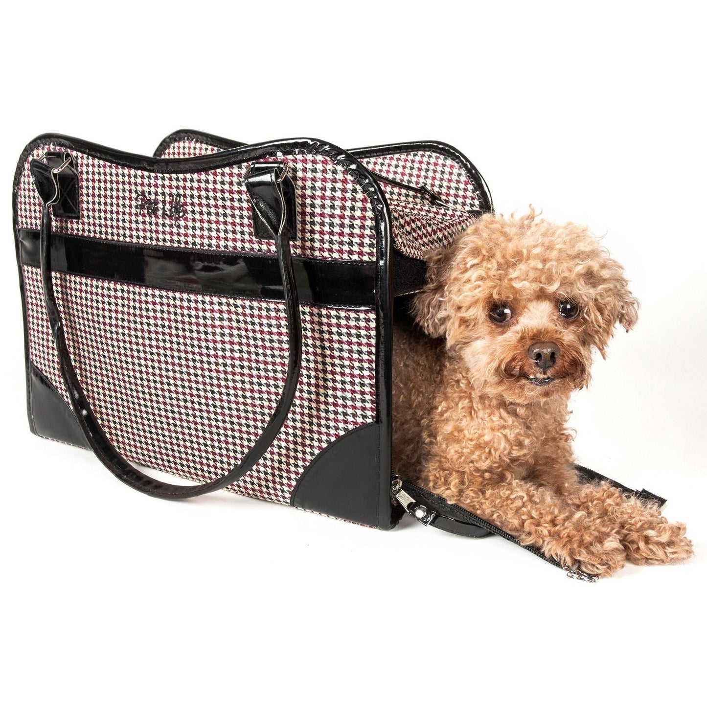 Mesh-sided pet carrier with built-in leash holder Transport