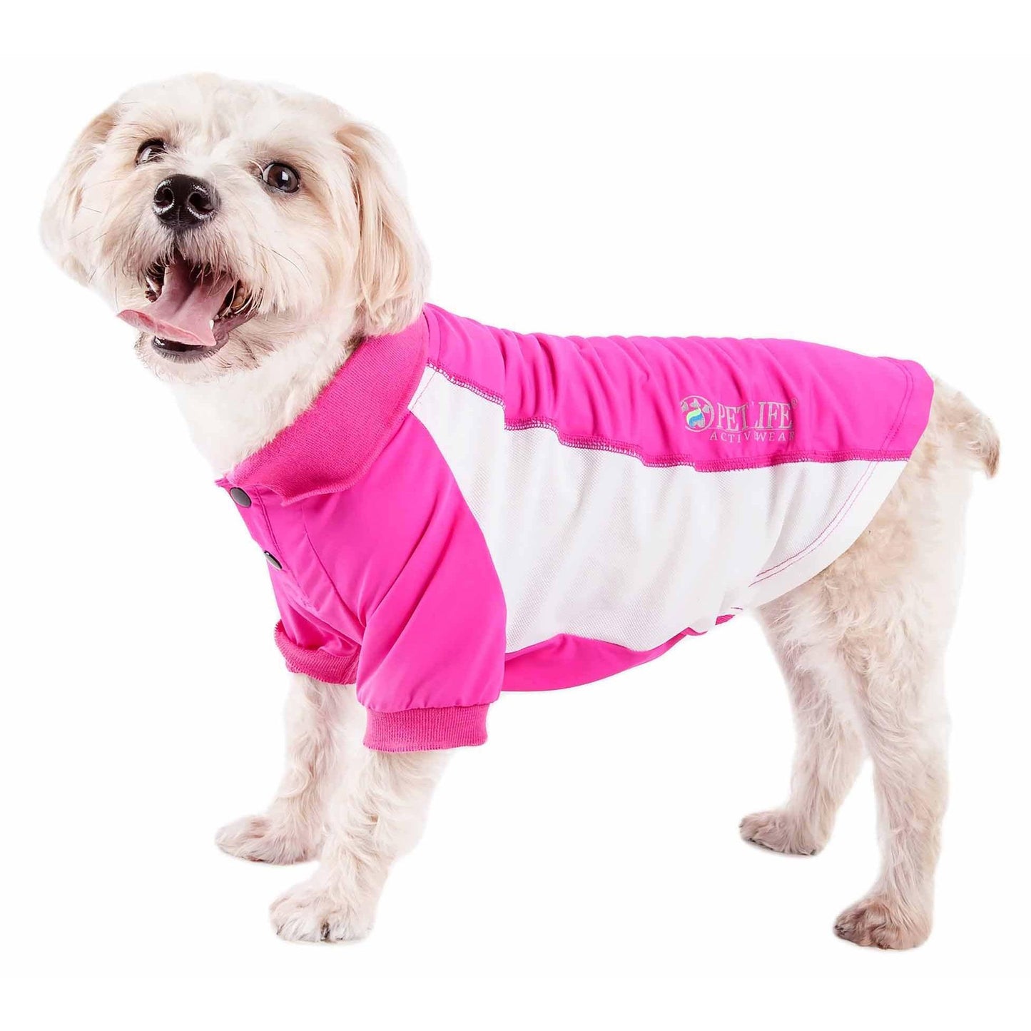 The Pet Life Active 'Barko Pawlo' dog polo shirt offers stretch, ventilation, and UV protection. - Wolldi