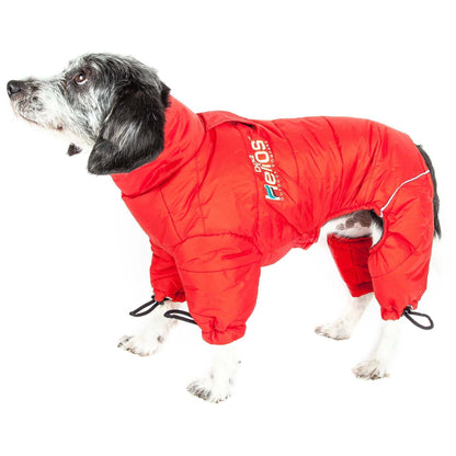 Waterproof dog jacket