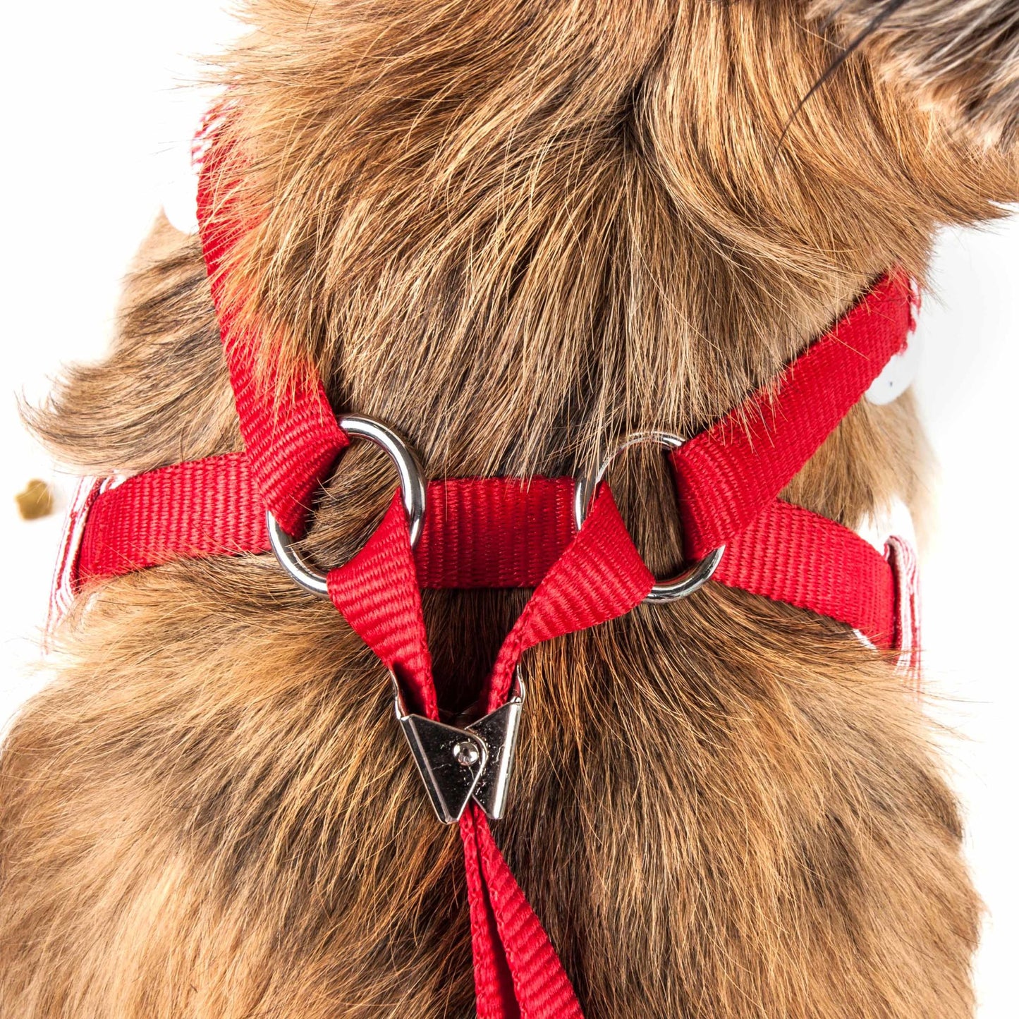 Breathable Adjustable Dog Harness with Bowtie Straps