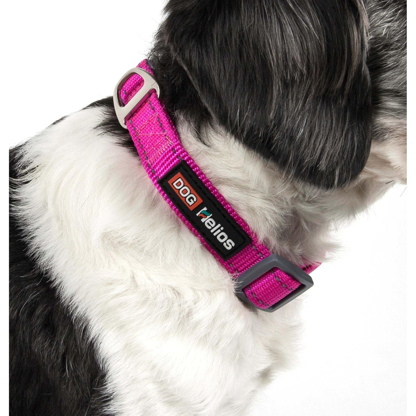 Indestructible dog leash and collar. Straps