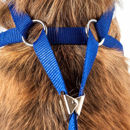 Breathable Adjustable Dog Harness with Bowtie Straps