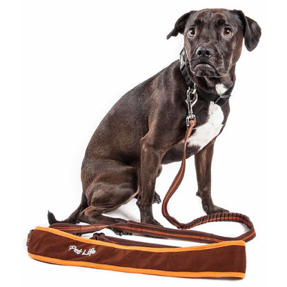 Hands-free shock-absorbing dog leash Canina