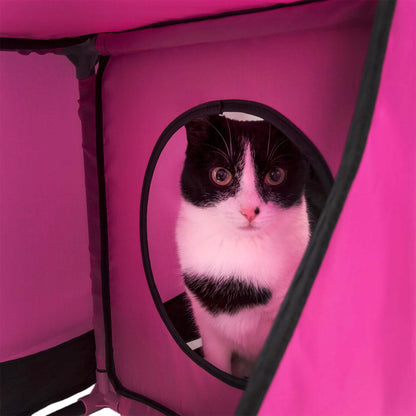 Collapsible Cat House for Multiple Cats HomeStyle