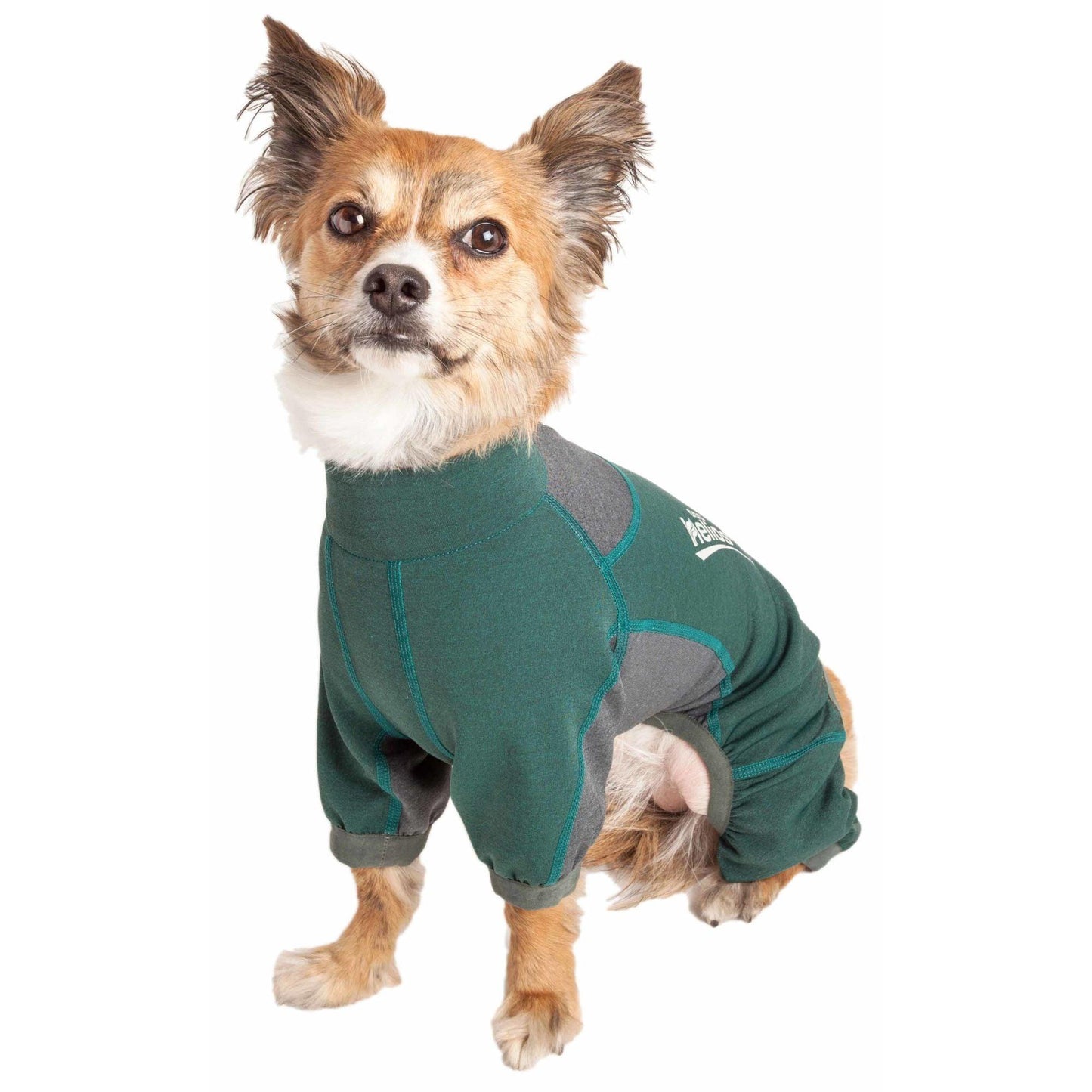 Dog track suit Fashion