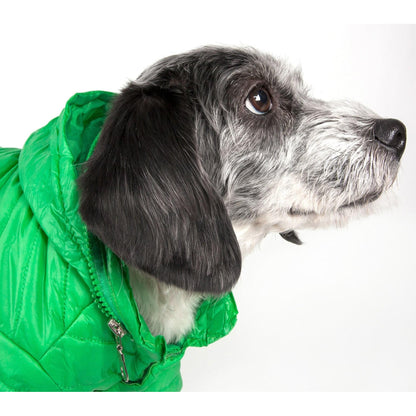 Lightweight adjustable dog coat for active pets. Fashion